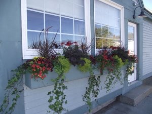 Robillard Dental window sill flowers on outside of building